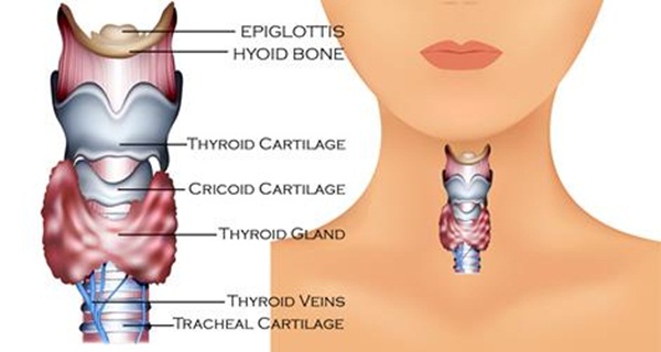 13 Silent Signs and symptoms of a Thyroid Problem