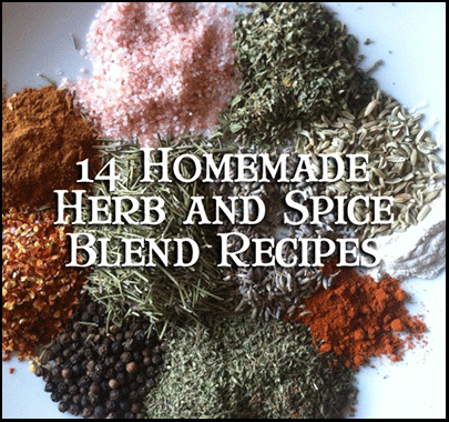 homemade spice blends