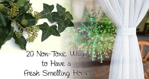 20 Non-Toxic Ways to Have a Clean Smelling Home