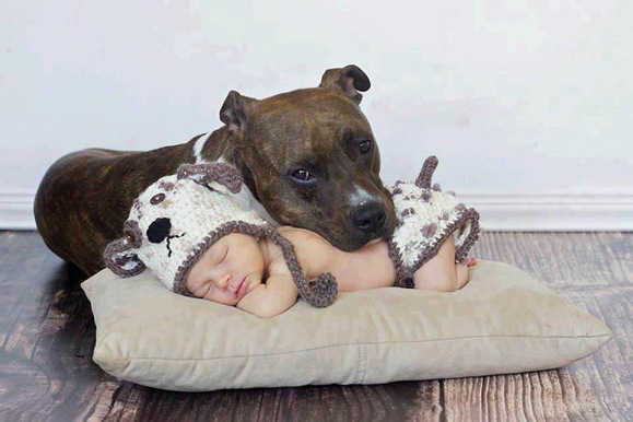 copyrights: http://pulptastic.com/kids-need-pets-warning-cuteness-overload/