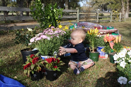 Baby Egg Hunt - 80 Fabulous Easter Decorations You Can Make Yourself