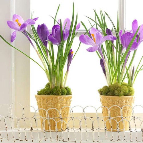 Potted Plant Decor - 80 Fabulous Easter Decorations You Can Make Yourself