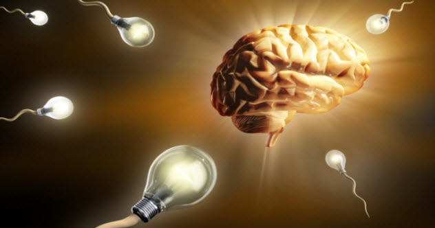 7-brain-lightbulb-101511232