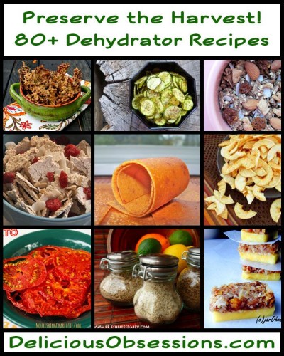 80+ Dehydrator dishes To Preserve The Harvest