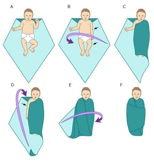 Copyrights: http://www.buzzfeed.com/peggy/incredibly-helpful-diagrams-for-moms-to-be