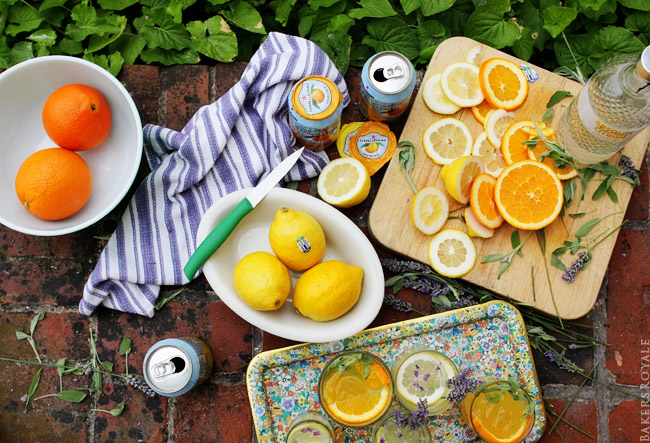 Citrus and Herb Vodka Tonics Ingredients via Bakers Royale
