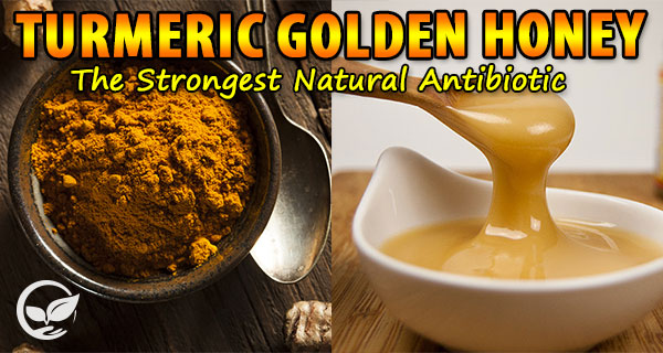 Turmeric-Golden-Honey-The-Strongest-Natural-Antibiotic