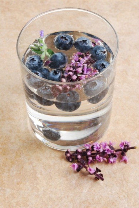 blueberry-lavender-482x720