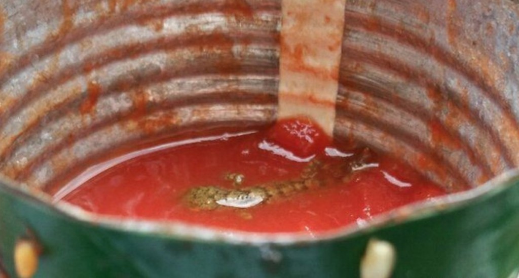 Dead Lizard discovered Floating In Can Of Tomatoes