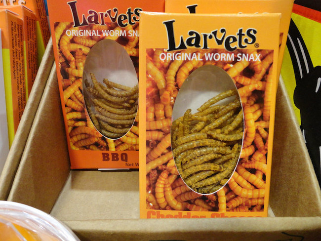 Flavored Larvae