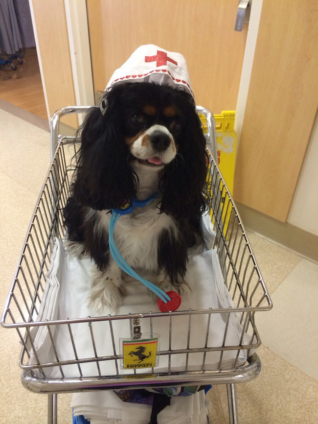 This nursing assistant advises a daily dose of adorable.