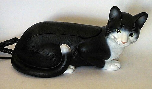 Someone made a telephone cat.