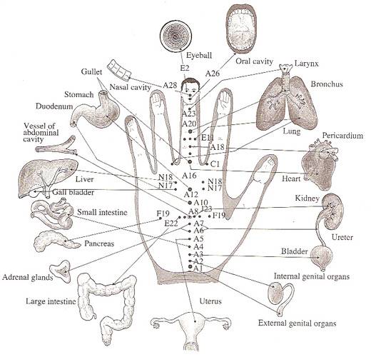 jin-shin-jyutsu-5-minute-hand-exercise-to-boost-your-energy-and-balance-your-emotions